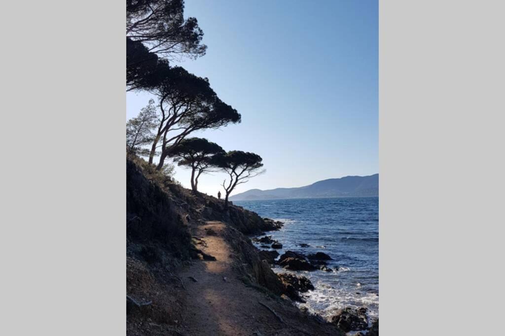 Appartement Deux Pieces , Climatise, Terrase, Cavalaire Dış mekan fotoğraf